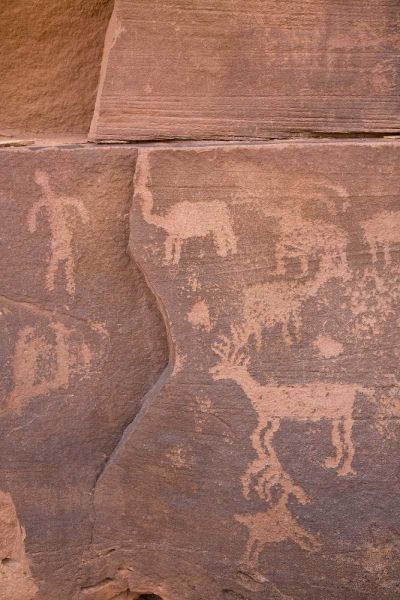 USA, Utah, Canyonlands NP Petroglyphs on rocks